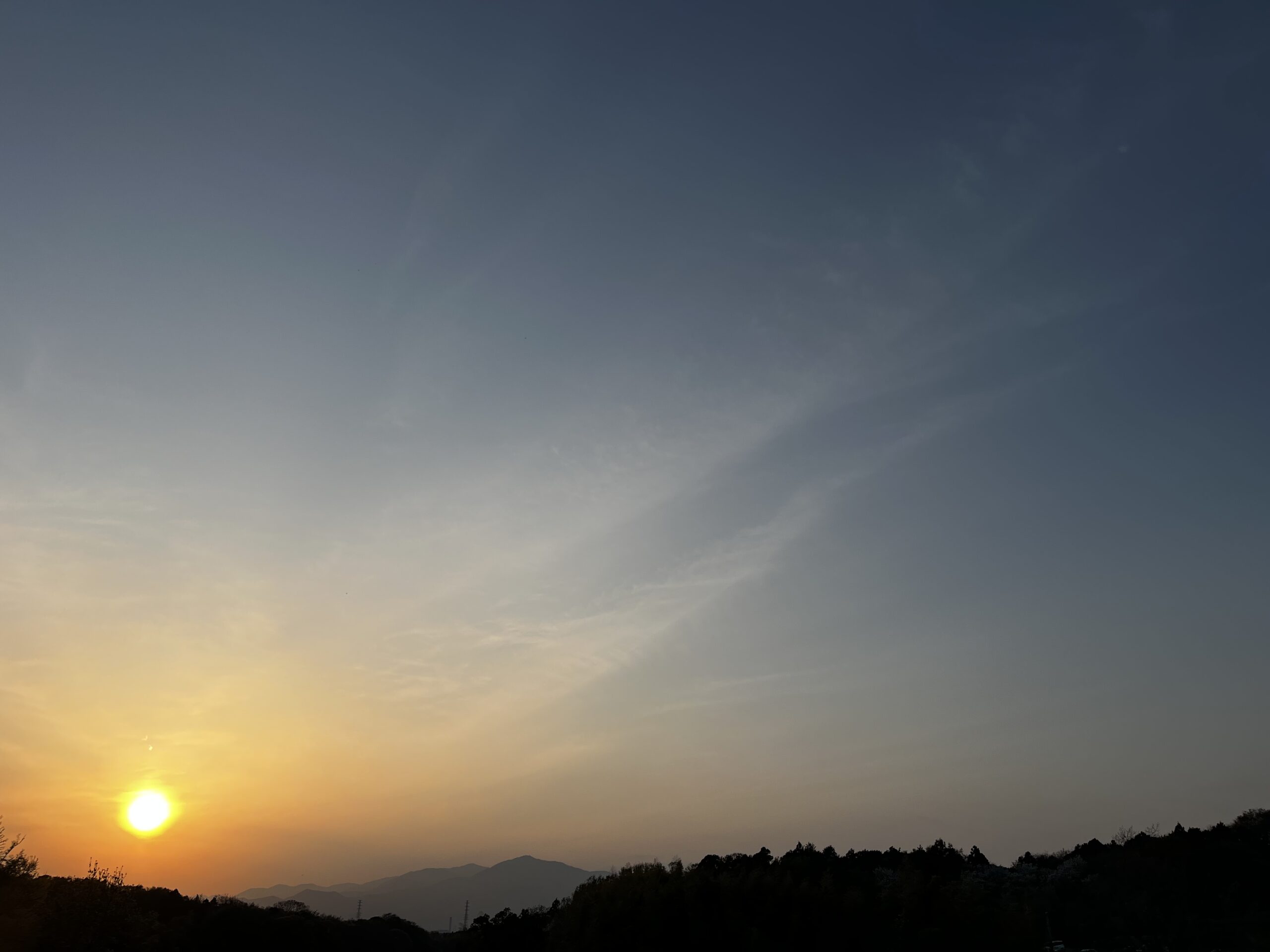 リトル・フォレストと散歩道