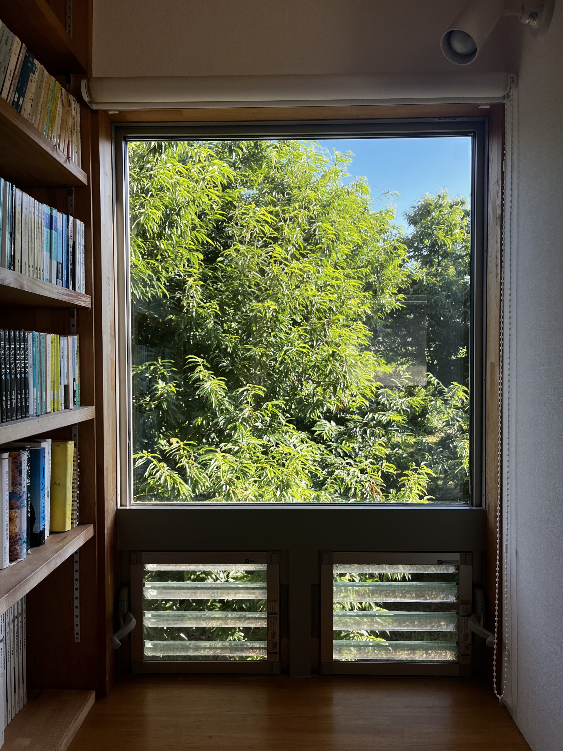 どこかへ行ってしまった梅雨と家着の見直し