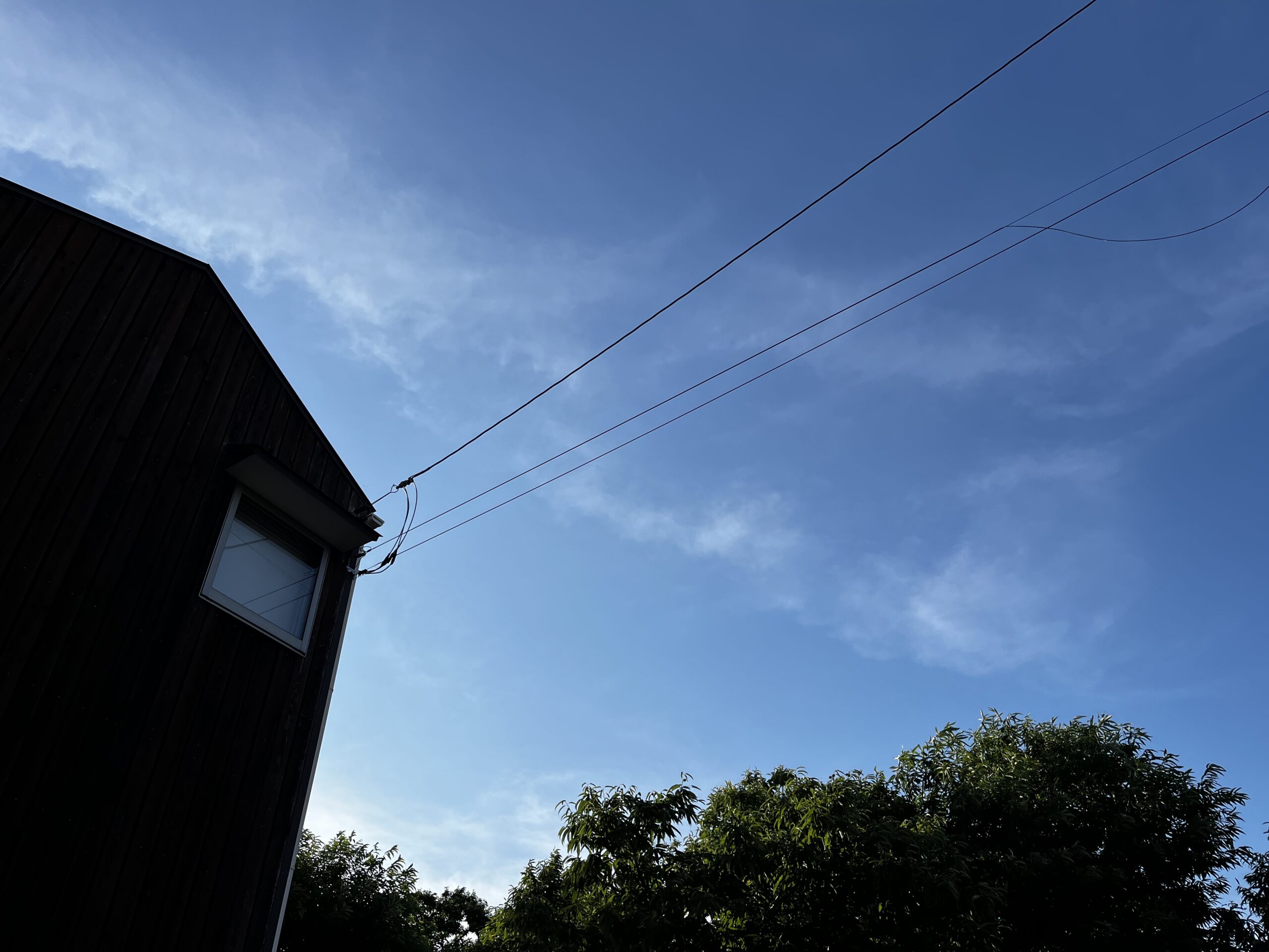 食いしんぼうの寝言と夏至