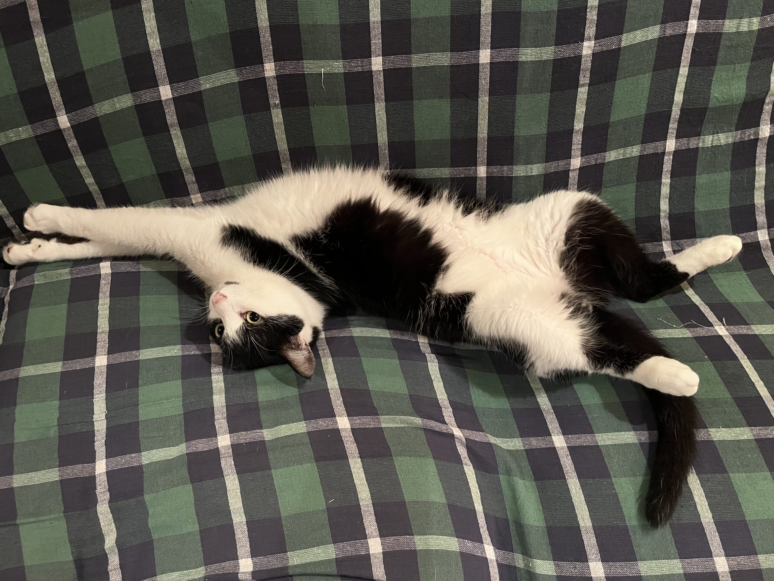 気が休まらない日々と深呼吸