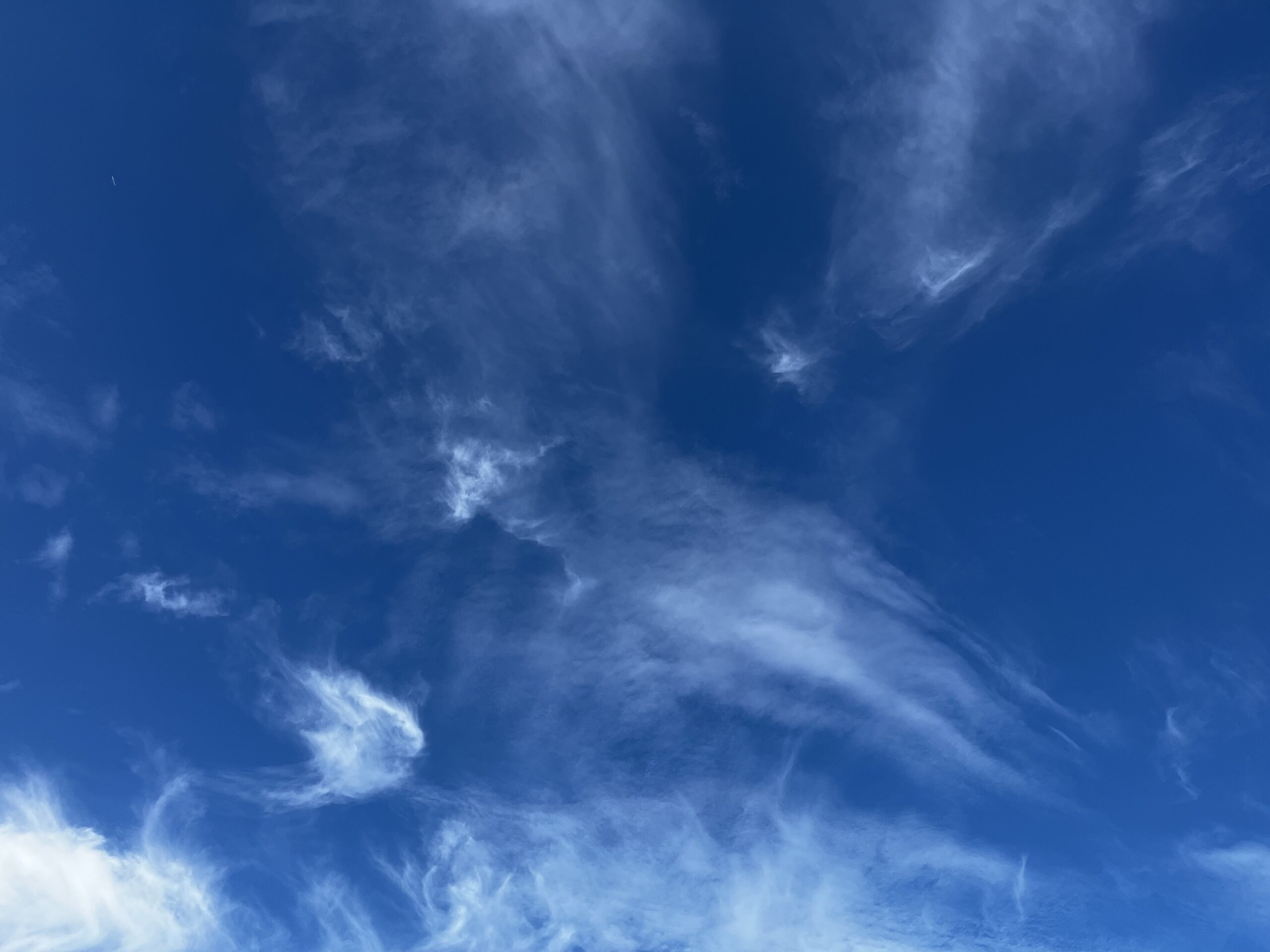 カナカナとコロコロ