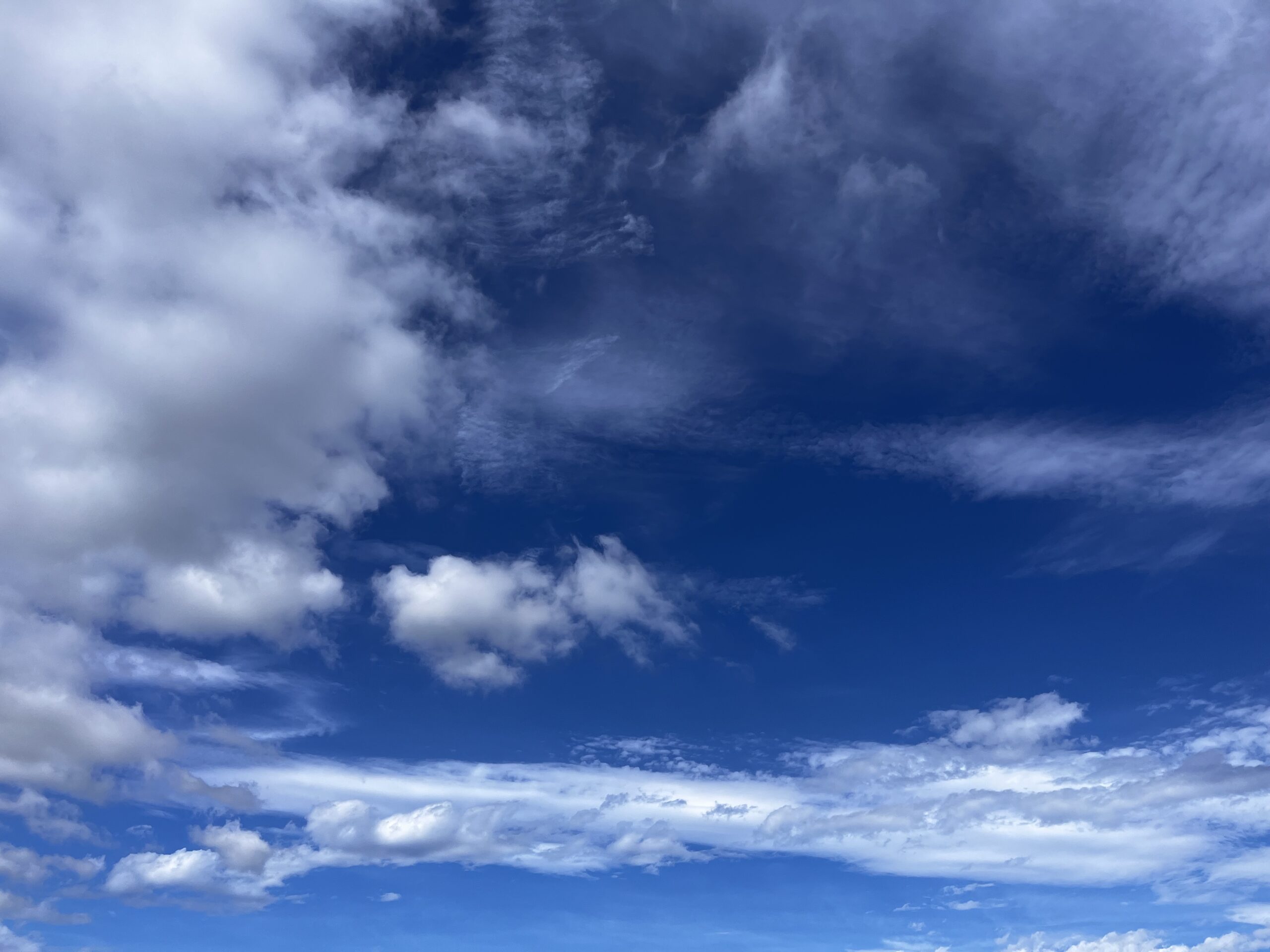 作られたムードと固まらない寒天