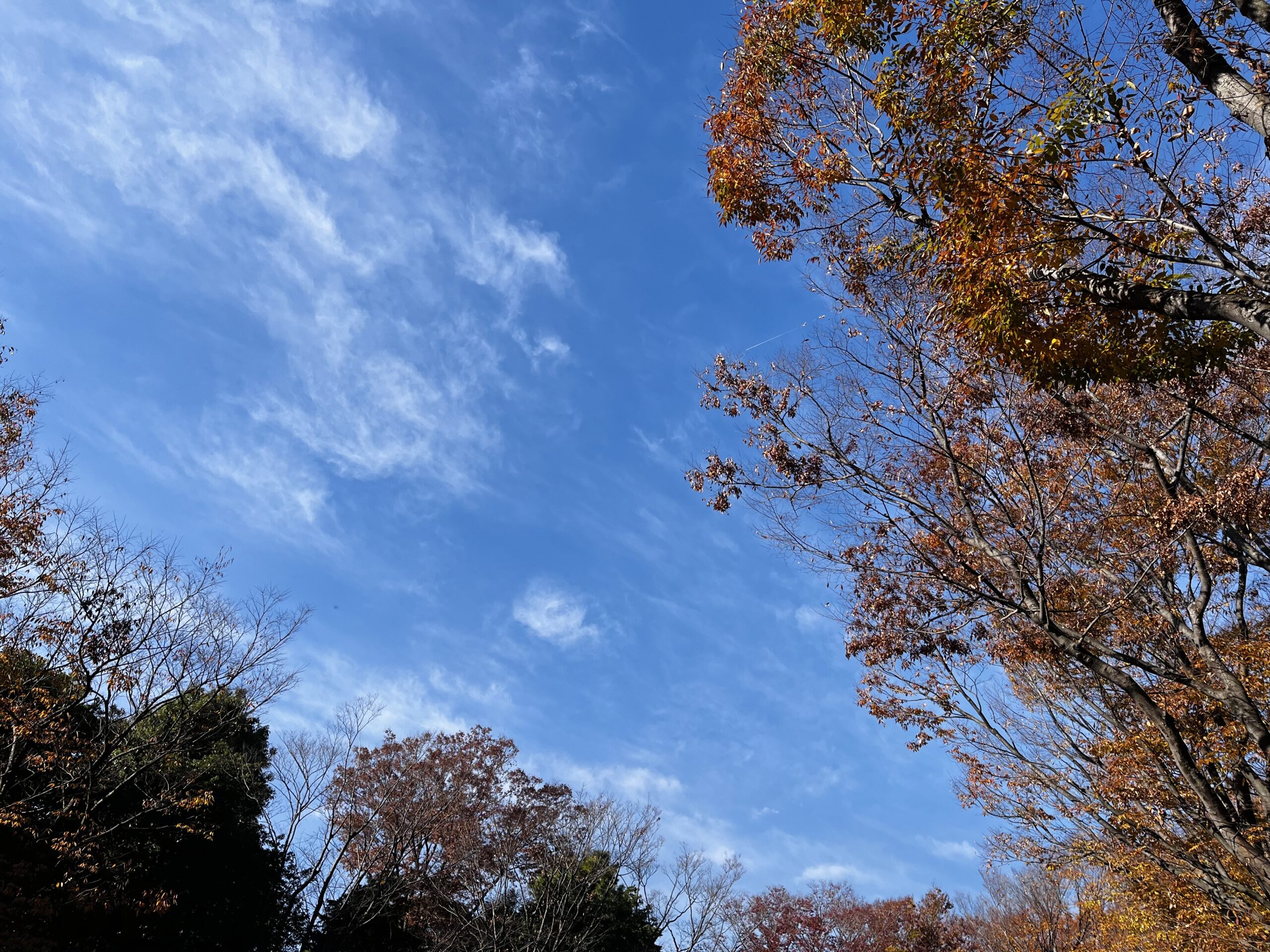 激落ちくんトレループとグッバイ11月